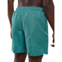 Nike Swim Nessa560 5 Volley Swimming Shorts green Uomo