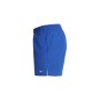 Nike Swim Nessa560 5 Volley Swimming Shorts game roya Uomo